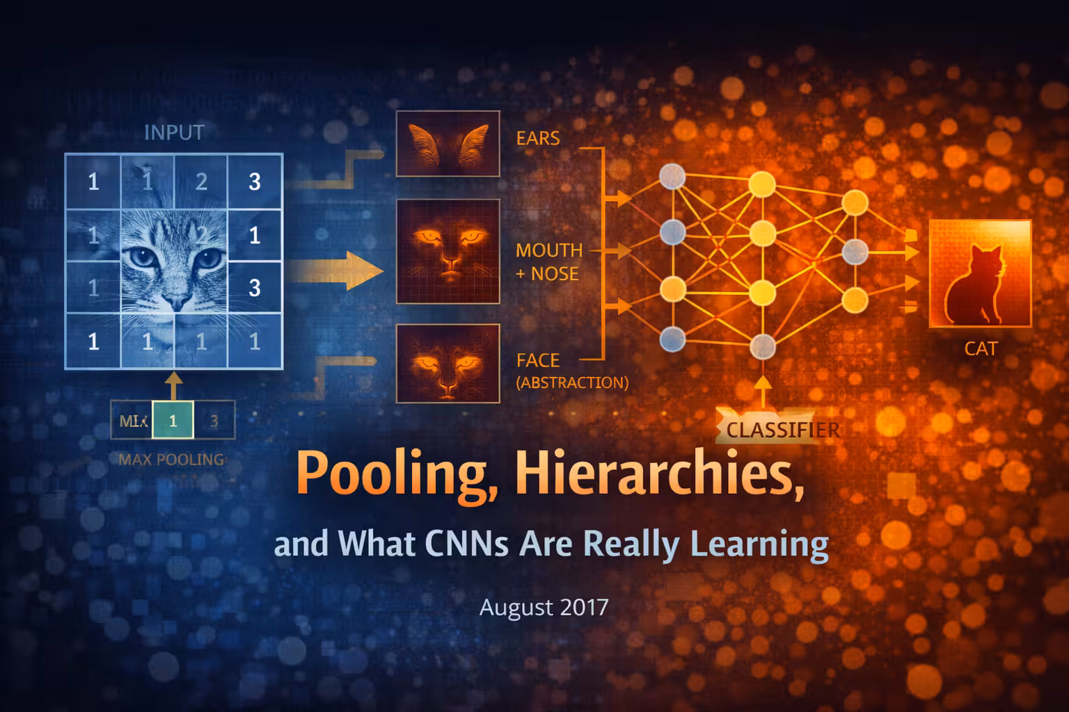 Pooling, Hierarchies, and What CNNs Are Really Learning